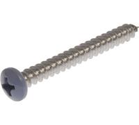 The Hillman Group 44385 10 x 5/8-Inch Blue Pan Head Phillips Sheet Metal Screw, Stainless Steel, 20-Pack