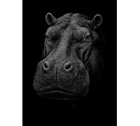 The Hippo: A Minimalist Matt Black Display Book with Blank Pages