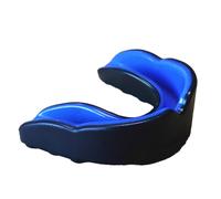 The Holy Man Of Santa Clara; Or, Life, Virtues And Miracles Of Fr. Magin Catala, O.F.M