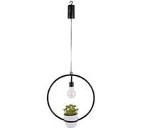 Plafonnier The Home Deco Factory - Suspension LED décorative avec plante Garden - H. 35 cm - Noir - Garden