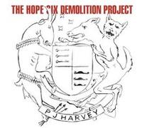 The Hope Six Demolition Project