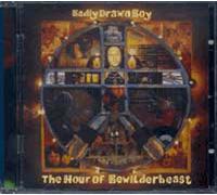 Badly Drawn Boy - The Hour Of Bewilderbeast