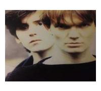 The House of Love – The House of Love – Vinyle transparent – Réédition – 2 LP