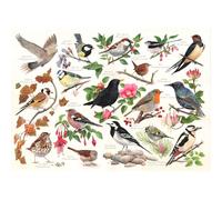 The House Of Puzzles Puzzle 1000 pièces - Birds in My Garden