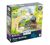 The House of Puzzles Train Spotting, Grand Puzzle de 250 pièces