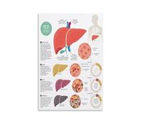 The Human Body Poster, Educational Organ System Chart Canvas Print for Health Classroom, Home Study Area, or Library Decor(Unframed,12x18inch(30x45cm))