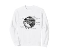 The Human Eye Globe oculaire Anatomie Vintage Sweatshirt