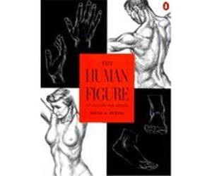 The Human Figure David K. Rubins (Auteur)