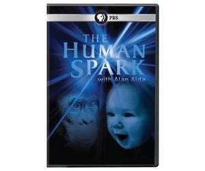 The Human Spark