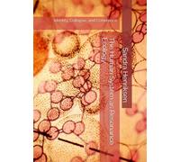The Human System as Resonance Ecology: Identity, Collapse, and Coherence