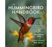 Le guide du colibri – Tout ce que vous devez savoir sur ces oiseaux fascinants