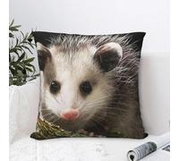 The Hungry Opossum Taie d'oreiller pour animal de compagnie Coussin confortable Coussin Canapé Utilisé pour la maison, la chambre à coucher, le salon