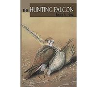 The Hunting Falcon