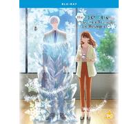 The Ice Guy and His Cool Female Colleague – Crunchyroll – Saison complète