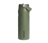 The Iceflow Bootle Flip Straw 2.0 Paille de pin séché 0,7 l