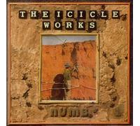 The Icicle Works - Numb