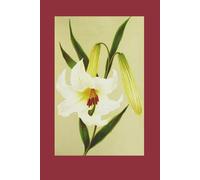 The Idle Lilly: Carnations, Lillies and Roses trilogy