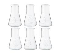 The Illusionist Distillery Verres | Set de 6 Verres Gin & Tonic | Fioles Erlenmeyer Premium | Perfect Serve | 250 ml