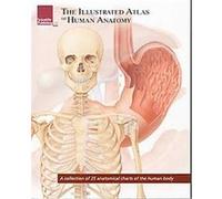 The Illustrated Atlas of Human Anatomy