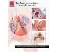 The Illustrated Atlas of Human Pathology
