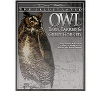 The Illustrated Owl: Barn, Barred, & Great Horned: The Ultimate Reference Guide for Bird Lovers, Woodcarvers, and Artists