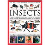 The Illustrated World Encyclopedia of Insects, Illustrated World Encyclopedia Martin Walters (Auteur)