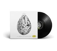 Hallgrimsson,Snorri - The Importance of Birds [Import]