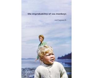 the improbability of sea monkeys