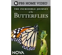 The Incredible Journey Of The Butterflies