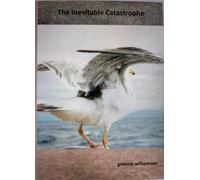 The Inevitable Catastrophe: 9 short stories