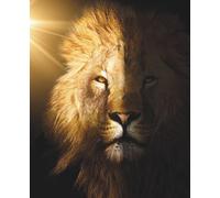 The Inner Alpha: Lead from Within. Rise Without Limits.