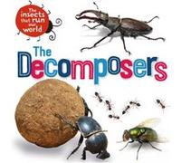 The Insects that Run Our World The Decomposers by Sarah Ridley Sarah Ridley (Auteur)