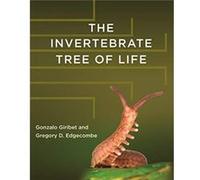 The Invertebrate Tree of Life by Gregory D. Edgecombe Gregory D. Edgecombe (Auteur)