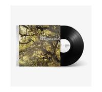 The Invisible Band – Vinyle 33 tours – Édition 20e anniversaire – Concord