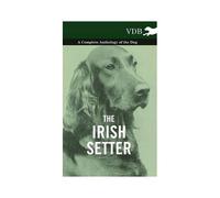The Irish Setter - A Complete Anthology Of The Dog