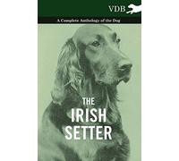 The Irish Setter - A Complete Anthology Of The Dog