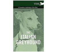 The Italian Greyhound - A Complete Anthology Of The Dog