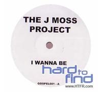 The J Project - I Wanna Be [Vinyl Single]