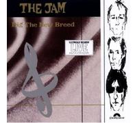 Jam - Dig the New Breed