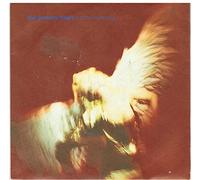 The Jeremy Days - Brand New Toy/Raintree Country (Live) [Import]