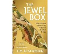 The Jewel Box: How Moths Illuminate Nature’s Hidden Rules