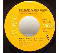 THE JIMMY CASTOR BUNCH 45 RPM Troglodyte (Cave Man) / I Promise To Remember