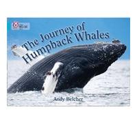 The Journey of Humpback Whales by Andy Belcher Inconnu (Auteur)