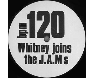 The Justified Ancients Of Mu Mu - Whitney Joins The J.A.M s