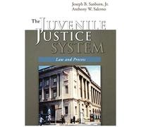 The Juvenile Justice System Anthony W. Salerno, Joseph B. Sanborn (Auteur)