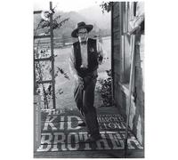 The Kid Brother (Criterion Collection) [Dvd]