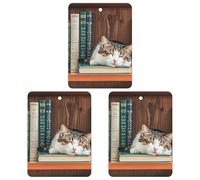 The Kitten Sleeps Lot de 3 désodorisants carrés à suspendre pour voiture, maison, bureau, style blanc