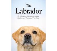 The Labrador: On Labradors, Expectations, and the Gap Between Theory and Your Sofa