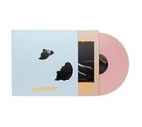 The Land Is Inhospitable And So Are We Vinyle