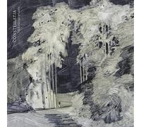 The Language of Limbs